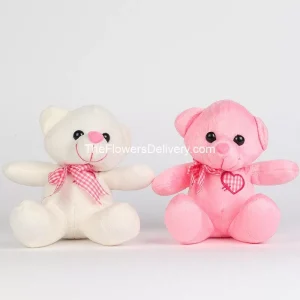 Valentine Flowers & Gifts to Sialkot - TheFlowersDelivery.com