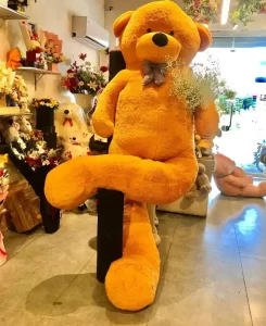 Teddy Delivery Karachi - TheFlowersDelivery.com