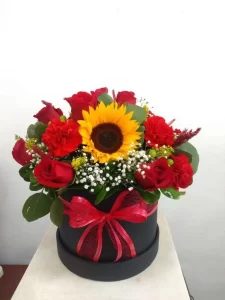 Harmony of Roses