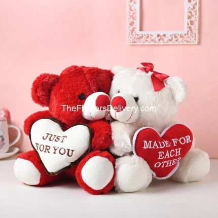 Send Valentine's Day Gift to Pakistan - TheFlowersDelivery.com