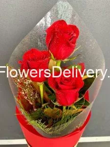 Fresh Red Roses Delivery Islamabad - TheFlowersDelivery.com