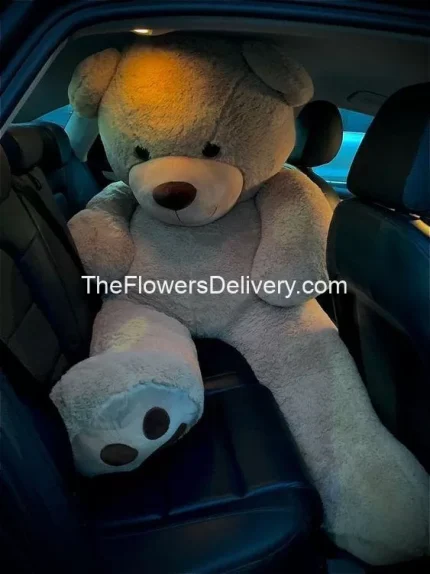 Gifts Delivery to Pakistan - TheFlowersDelivery.com