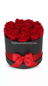 Valentine Rose Delivery Karachi - TheFlowersDelivery.com