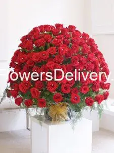 Send Anniversary Flowers to Pakistan from UK - TheFlowersDelivery.com