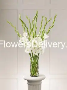 Send Flowers to Sialkot - TheFlowersDelivery.com