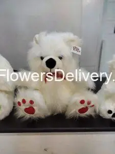 Online Gifts Delivery Islamabad - TheFlowersDelivery.com