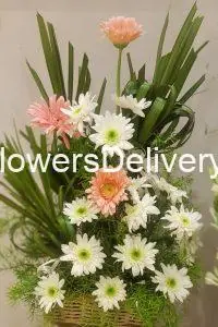 Birthday Flowers Delivery Gujrat - TheFlowersDelivery.com
