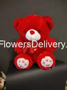 Teddy Bear Delivery Lahore - TheFlowersDelivery.com
