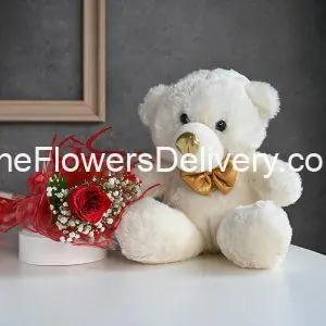 Flowers and Teddy Pakistan - TheFlowersDelivery.com