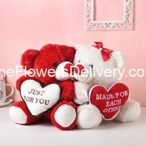 Send Valentine's Day Gift to Pakistan - TheFlowersDelivery.com