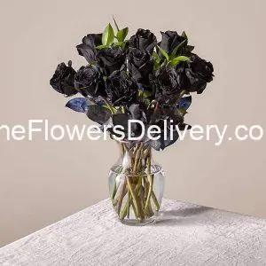Black Rose Delivery Pakistan - TheFlowersDelivery.com