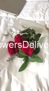 Rose Delivery Karachi - TheFlowersDelivery.com