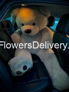 Gifts Delivery to Pakistan - TheFlowersDelivery.com