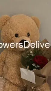 Flowers and Gifts Delivery Islamabad - TheFlowersDelivery.com
