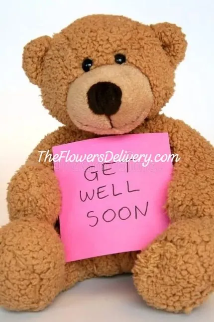 Get Well Soon Teddy Delivery to Pakistan - TheFlowersDelivery.com