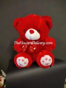 Teddy Bear Online Lahore - TheFlowersDelivery.com