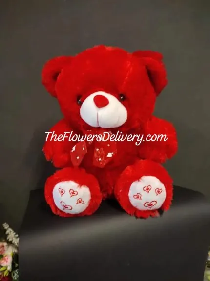 Teddy Bear Online Lahore - TheFlowersDelivery.com
