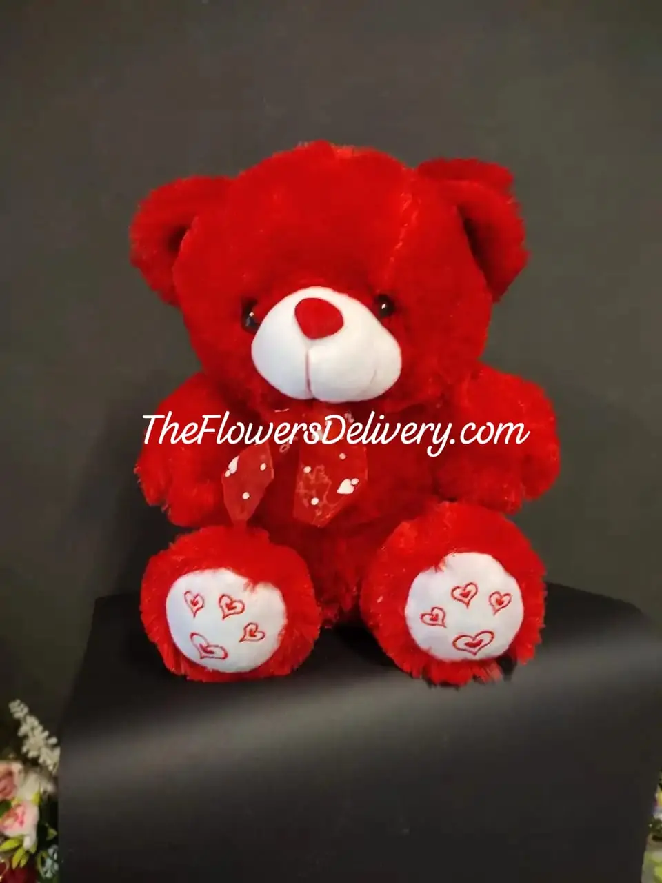Teddy Bear Online Lahore - TheFlowersDelivery.com