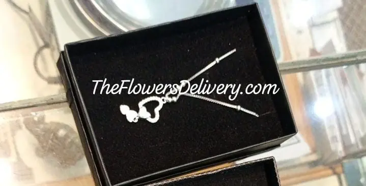 Jewellery Gift for Wife Lahore - TheFlowersDelivery.com