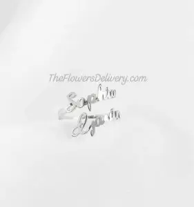 Silver Jewelry Pakistan - TheFlowersDelivery.com