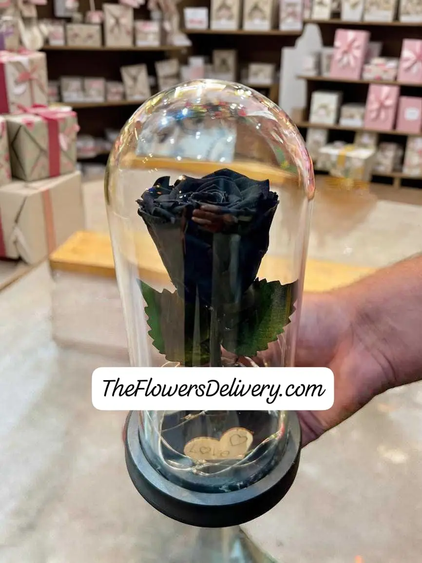 Rose Gift for Him Lahore - TheFlowersDelivery.com