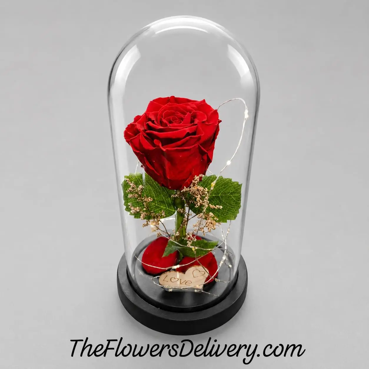 Rose Dome Gift Lahore - TheFlowersDelivery.com