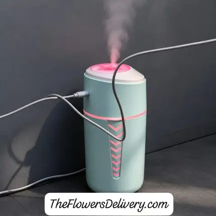 Desktop Humidifier Lahore - TheFlowersDelivery.com